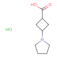 Chemical structure of 3-(pyrrolidin-1-yl)cyclobutane-1-carboxylic acid hydrochloride - CSSB02495338952