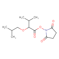 Chemical structure of 2,5-dioxopyrrolidin-1-yl 3-methyl-2-(2-methylpropoxy)butanoate - CSSB20269821234
