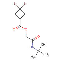 C11H17Br2NO3