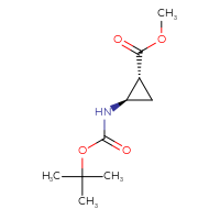 C10H17NO4