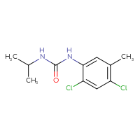 Chemical structure of 1-(2,4-dichloro-5-methylphenyl)-3-(propan-2-yl)urea - CSSB02521130248