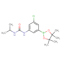Chemical structure of 1-[3-chloro-5-(4,4,5,5-tetramethyl-1,3,2-dioxaborolan-2-yl)phenyl]-3-(propan-2-yl)urea - CSSB15101237355