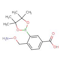 C14H20BNO5