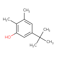 Chemical structure of 5-tert-butyl-2,3-dimethylphenol - CSSB00010659372