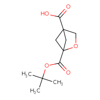 Chemical structure of 1-[(tert-butoxy)carbonyl]-2-oxabicyclo[2.1.1]hexane-4-carboxylic acid - CSSB00133013775