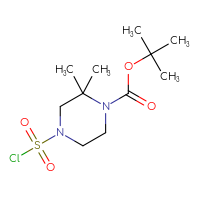 Chemical structure of tert-butyl 4-(chlorosulfonyl)-2,2-dimethylpiperazine-1-carboxylate - CSSB00153718684