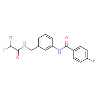 Chemical structure of N-{3-[(2-chloro-2-fluoroacetamido)methyl]phenyl}-4-fluorobenzamide - CSSB21332119345