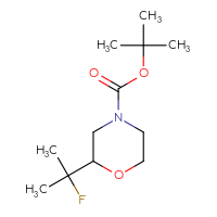 Chemical structure of tert-butyl 2-(2-fluoropropan-2-yl)morpholine-4-carboxylate - CSSB14948340468