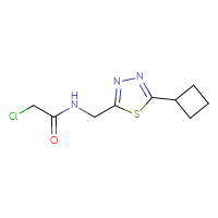 Chemical structure of 2-chloro-N-[(5-cyclobutyl-1,3,4-thiadiazol-2-yl)methyl]acetamide - CSSB02389746174