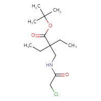 Chemical structure of tert-butyl 2-[(2-chloroacetamido)methyl]-2-ethylbutanoate - CSSB01843021271