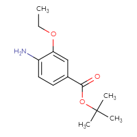 Chemical structure of tert-butyl 4-amino-3-ethoxybenzoate - CSSB00116223247