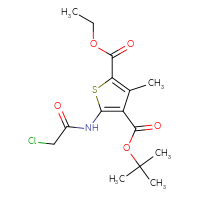 Chemical structure of 4-tert-butyl 2-ethyl 5-(2-chloroacetamido)-3-methylthiophene-2,4-dicarboxylate - CSSB00000740200