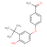 Chemical structure of 1-[4-(3-tert-butyl-4-hydroxyphenoxy)phenyl]ethan-1-one - CSSB06446547545