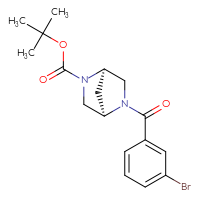 Chemical structure of tert-butyl (1R,4R)-5-(3-bromobenzoyl)-2,5-diazabicyclo[2.2.1]heptane-2-carboxylate - CSSB06468462862