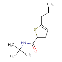 Chemical structure of N-tert-butyl-5-propylthiophene-2-carboxamide - CSSB00010989128