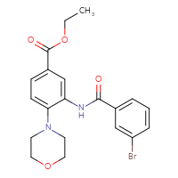Chemical structure of ethyl 3-(3-bromobenzamido)-4-(morpholin-4-yl)benzoate - CSSB00121621928