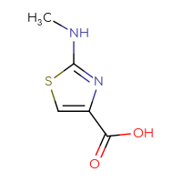 Chemical structure of 2-(methylamino)-1,3-thiazole-4-carboxylic acid - CSSB00000765599