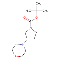 Chemical structure of tert-butyl 3-(morpholin-4-yl)pyrrolidine-1-carboxylate - CSSB00012224502