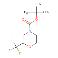 Chemical structure of tert-butyl 2-(trifluoromethyl)morpholine-4-carboxylate - CSSB00022644731