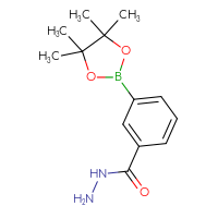 Chemical structure of 3-(4,4,5,5-tetramethyl-1,3,2-dioxaborolan-2-yl)benzohydrazide - CSSB00010144566