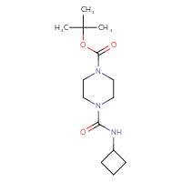 Chemical structure of tert-butyl 4-(cyclobutylcarbamoyl)piperazine-1-carboxylate - CSSB00104038728