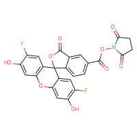 Chemical structure of 2,5-dioxopyrrolidin-1-yl 2',7'-difluoro-3',6'-dihydroxy-3-oxo-3H-spiro[2-benzofuran-1,9'-xanthene]-5-carboxylate - CSSB03437847839