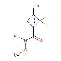 Chemical structure of 2,2-difluoro-N-methoxy-N,3-dimethylbicyclo[1.1.1]pentane-1-carboxamide - CSSB06734843981
