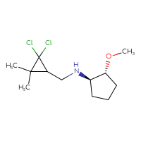 C12H21Cl2NO