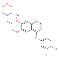 C22H24Cl2N4O3