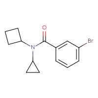 Chemical structure of 3-bromo-N-cyclobutyl-N-cyclopropylbenzamide - CSSB01004640857