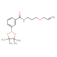 Chemical structure of N-[3-(prop-2-en-1-yloxy)propyl]-3-(4,4,5,5-tetramethyl-1,3,2-dioxaborolan-2-yl)benzamide - CSSB02229497183