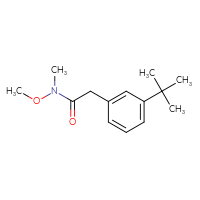 Chemical structure of 2-(3-tert-butylphenyl)-N-methoxy-N-methylacetamide - CSSB08664668221