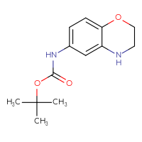 Chemical structure of tert-butyl N-(3,4-dihydro-2H-1,4-benzoxazin-6-yl)carbamate - CSSB00102558501
