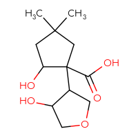 C12H20O5