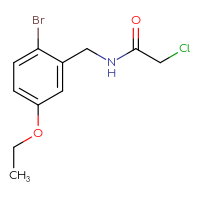 Chemical structure of N-[(2-bromo-5-ethoxyphenyl)methyl]-2-chloroacetamide - CSSB20496282030