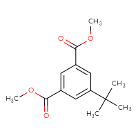 Chemical structure of 1,3-dimethyl 5-tert-butylbenzene-1,3-dicarboxylate - CSSB00020644194