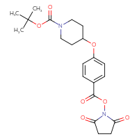 Chemical structure of tert-butyl 4-(4-{[(2,5-dioxopyrrolidin-1-yl)oxy]carbonyl}phenoxy)piperidine-1-carboxylate - CSSB20270856444