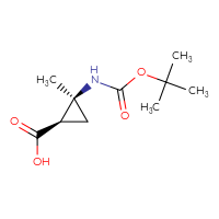 C10H17NO4