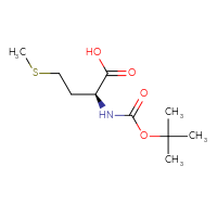 C10H19NO4S