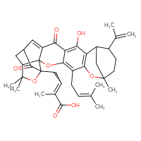Chemical structure of 4-[14-hydroxy-8,23,23-trimethyl-5-(3-methylbut-2-en-1-yl)-16,20-dioxo-11-(prop-1-en-2-yl)-3,7,22-trioxaheptacyclo[17.4.1.1⁸,¹².0²,¹⁷.0²,²¹.0⁴,¹⁵.0⁶,¹³]pentacosa-4,6(13),14,17-tetraen-21-yl]-2-methylbut-2-enoic acid - CSSB06744480292