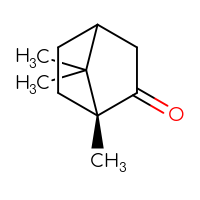 C10H16O