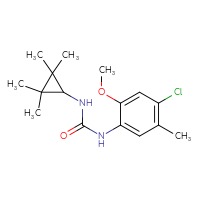 Chemical structure of 1-(4-chloro-2-methoxy-5-methylphenyl)-3-(2,2,3,3-tetramethylcyclopropyl)urea - CSSB02067618058