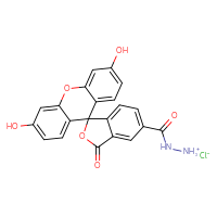Chemical structure of ({3',6'-dihydroxy-3-oxo-3H-spiro[2-benzofuran-1,9'-xanthen]-5-yl}formamido)azanium chloride - CSSB03436546735