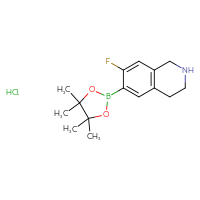 Chemical structure of 7-fluoro-6-(4,4,5,5-tetramethyl-1,3,2-dioxaborolan-2-yl)-1,2,3,4-tetrahydroisoquinoline hydrochloride - CSSB03496527563