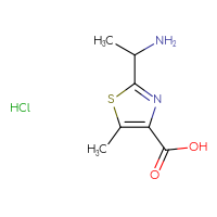Chemical structure of 2-(1-aminoethyl)-5-methyl-1,3-thiazole-4-carboxylic acid hydrochloride - CSSB00102663509