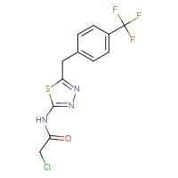 Chemical structure of 2-chloro-N-(5-{[4-(trifluoromethyl)phenyl]methyl}-1,3,4-thiadiazol-2-yl)acetamide - CSSB09307445901