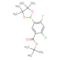Chemical structure of tert-butyl 2-chloro-4-fluoro-5-(4,4,5,5-tetramethyl-1,3,2-dioxaborolan-2-yl)benzoate - CSSB00020617238