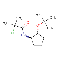 C13H24ClNO2