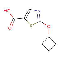 Chemical structure of 2-cyclobutoxy-1,3-thiazole-5-carboxylic acid - CSSB00014972629