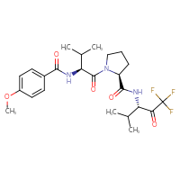 Chemical structure of (2S)-1-[(2S)-2-[(4-methoxyphenyl)formamido]-3-methylbutanoyl]-N-[(3S)-1,1,1-trifluoro-4-methyl-2-oxopentan-3-yl]pyrrolidine-2-carboxamide - CSSB02495325937